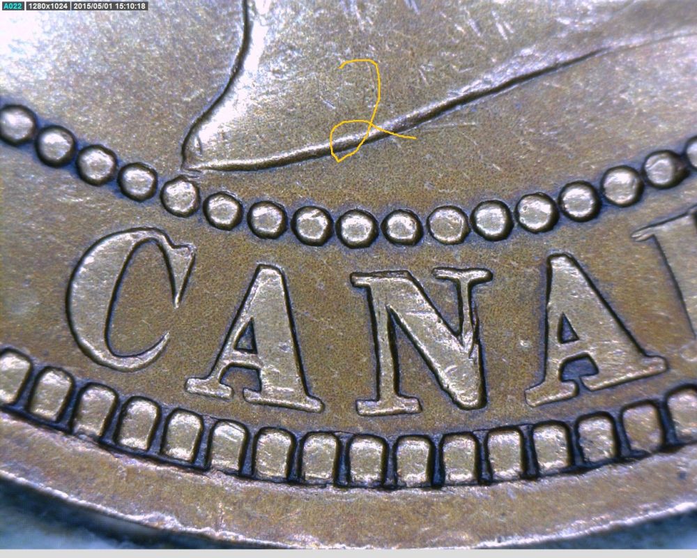 1881-H-C1A/-C1-Variety