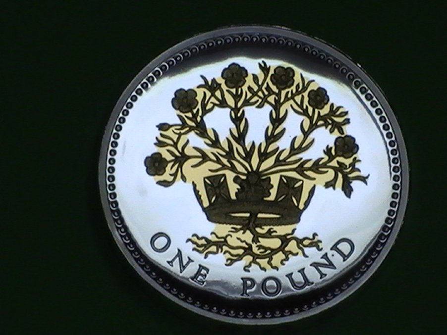 Northern-Ireland--£1-Coins-2008