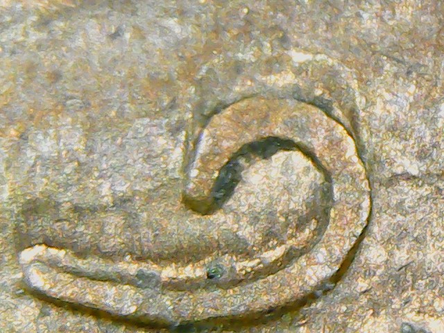 1986-Penny-Double-Die