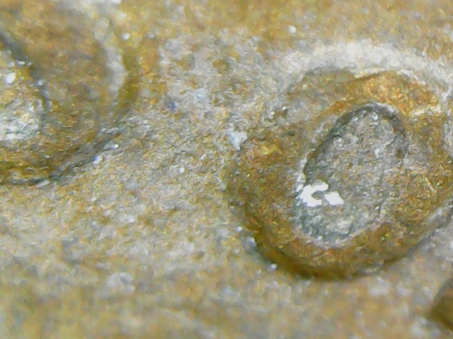 1969-S-Repunched-Mint-Mark?