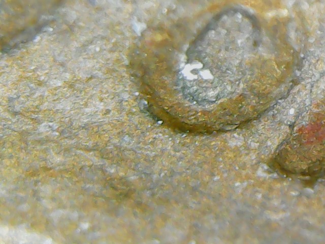 1969-S-Repunched-Mint-Mark?