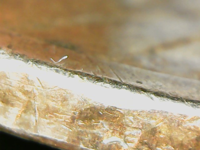 2010-D-Dollar-Coin-Not-The-President-Series-Edge-Lettering