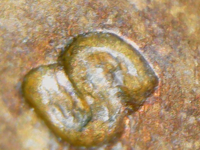 1972-S-Over-S-Cent?-Can't-Tell