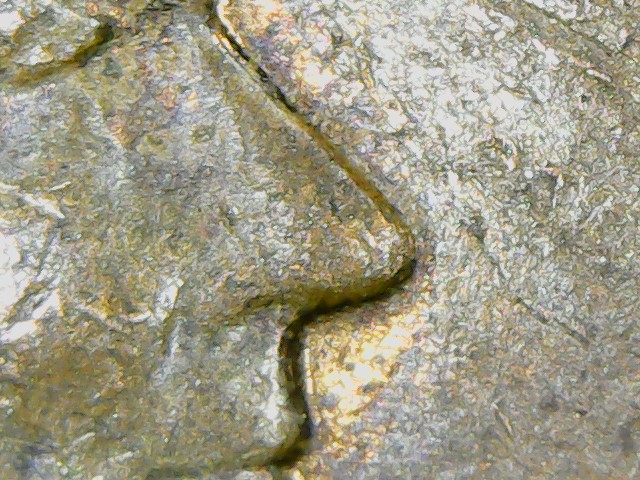 Help-Determining-DDO-Or-MD-On-This-Penny