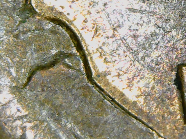 Help-Determining-DDO-Or-MD-On-This-Penny