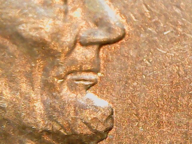 2010-Penny-Double-Lipped?