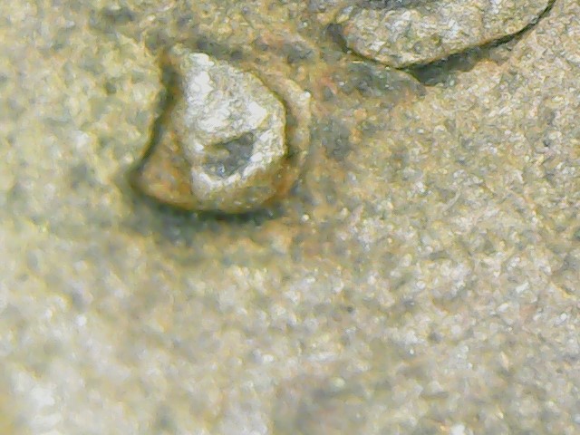 1951-D-Cent-Help-Identifying-RPM-D/S-Maybe