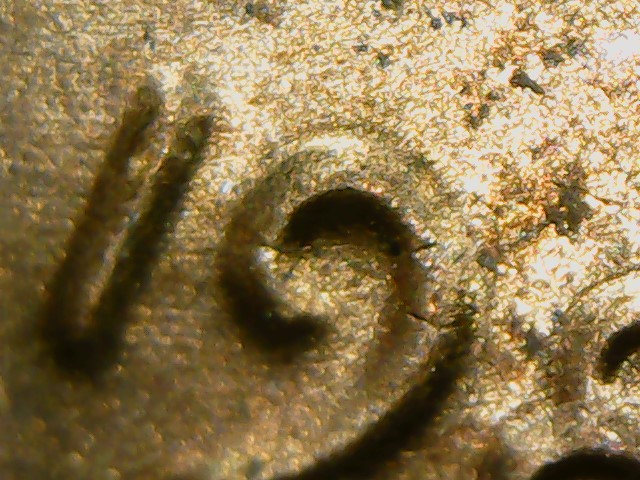 1982-Penny-DDO-Help-Identifying-If-It-Is?