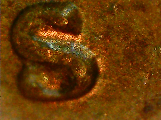 1973-S-Cent-Possible-RPM-Or-Damaged-Punch