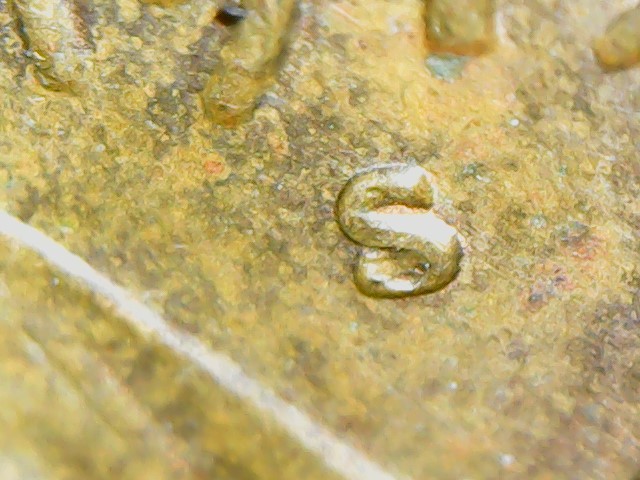 1973-S-Cent-Possible-RPM-Or-Damaged-Punch