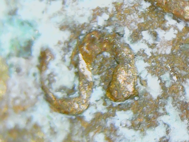 1969-S-Cent-Inverted-Mint-Mark?-I-Think?-Help-Determining