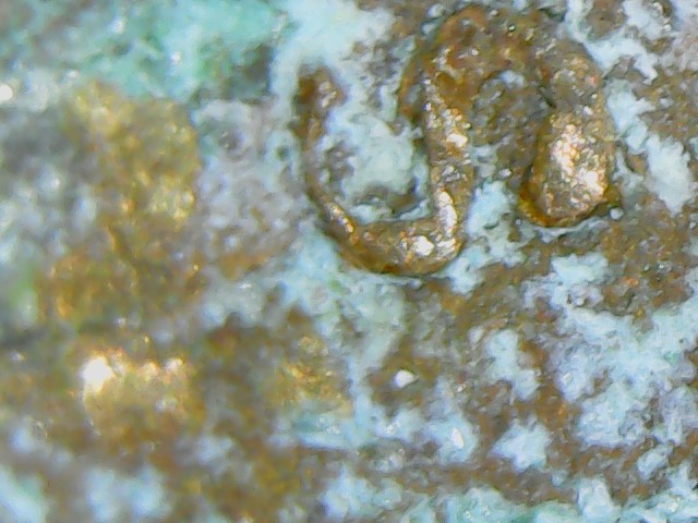 1969-S-Cent-Inverted-Mint-Mark?-I-Think?-Help-Determining