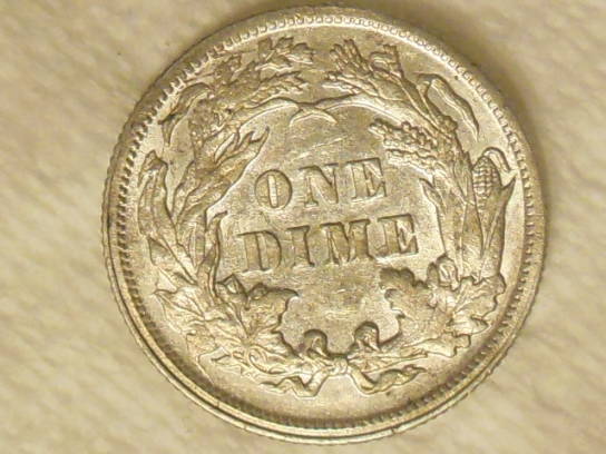 1891-Seated-Dime.-Cleaned?
