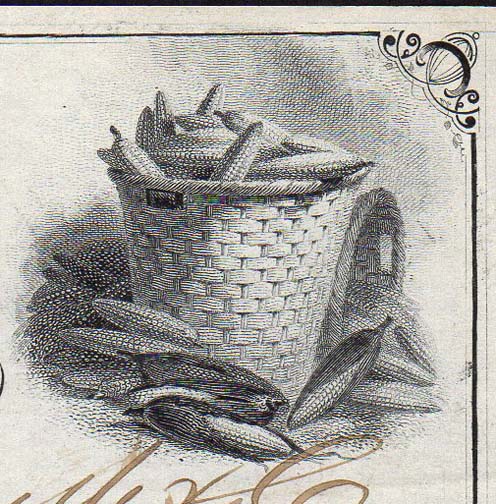 Old-Checks