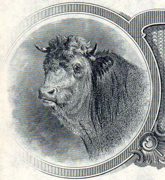Some-Specimen-Stocks-And-Bonds