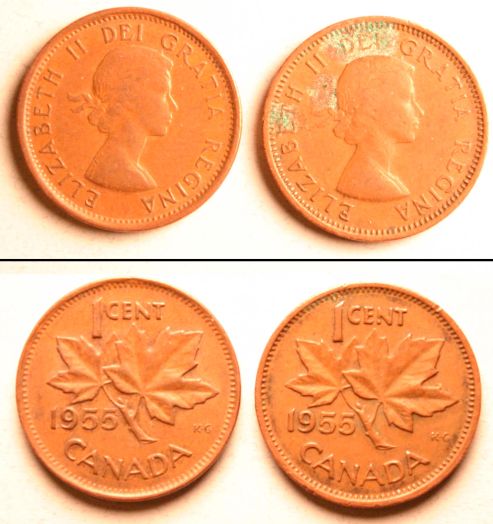 1cent-Small-And-Large-Denticles