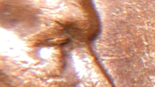 1963-D--Double-Eyelid