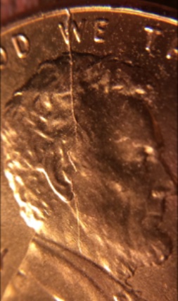 2015-P-LMC-Spiked-Head-Down-To-Neck.