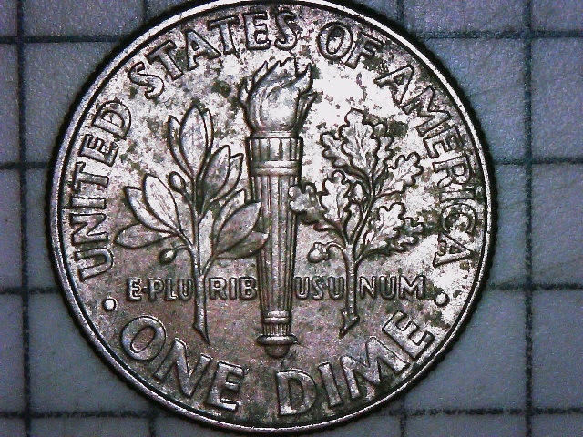 2015-P-Roosevelt-Is-This-WDDR-007?