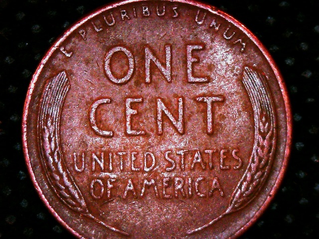 1956-D-LWC-1956-D-1MM-004-EDS-RPM