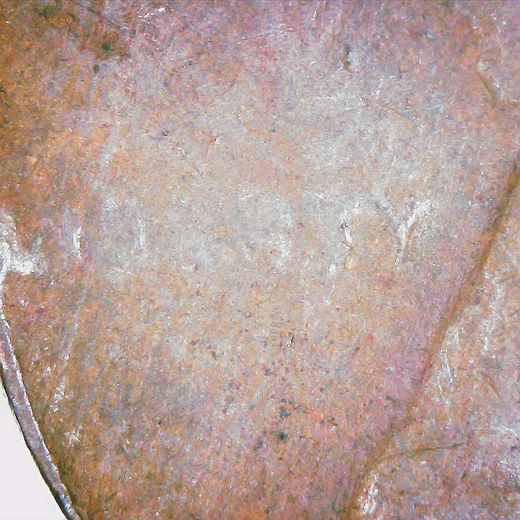 1941-P-LWC-Weighs-2.105-Gms,-18.3-MM