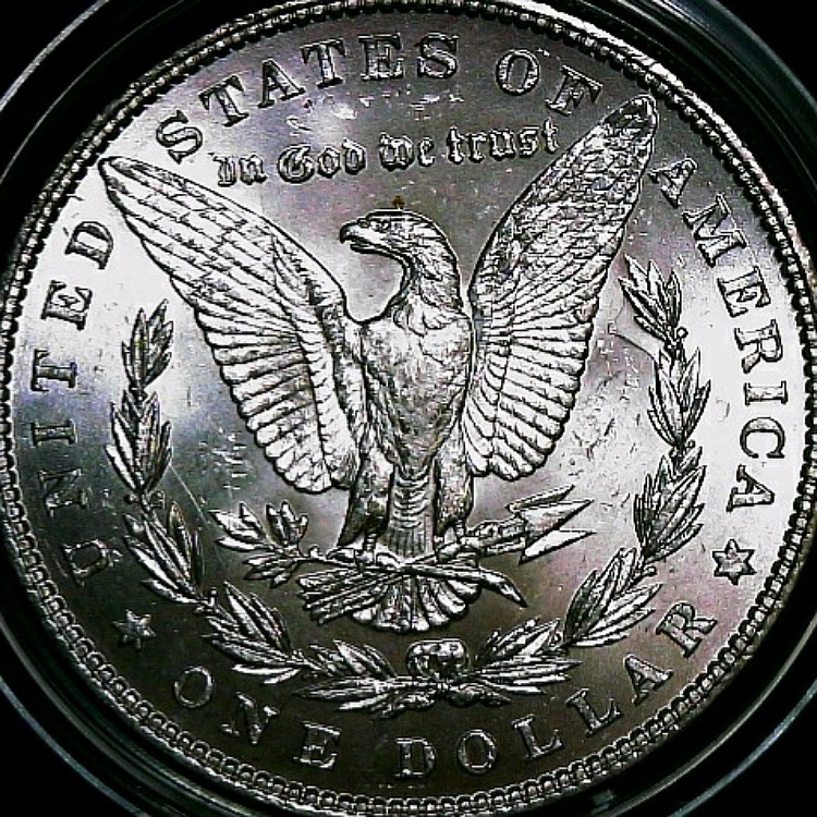1887-P-Morgan-Silver-Dollar-1887-P-VAM-12A-Alligator-Eye