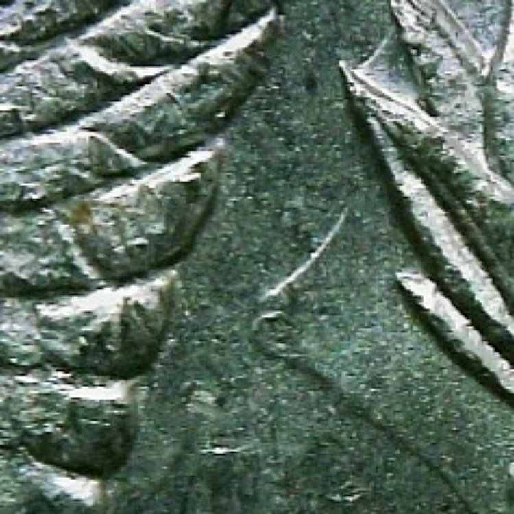 1887-P-Morgan-Silver-Dollar-1887-P-VAM-12A-Alligator-Eye