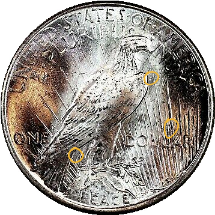 1925-P-Peace-Dollar-VAM-1t