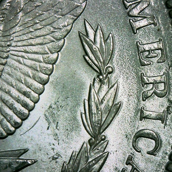 1889-P-Morgan-Silver-Dollar-VAM-61