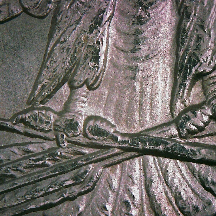 1891-S-Morgan-VAM-8A-I-5-R-5