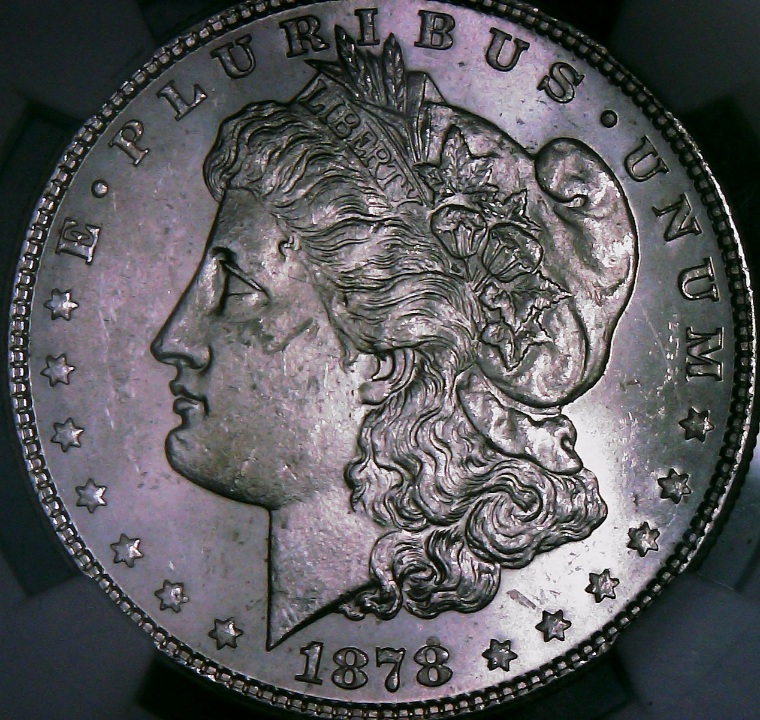 1878-P-VAM-31-Double-Set-Of-Legs-And-Talons,-Etc.
