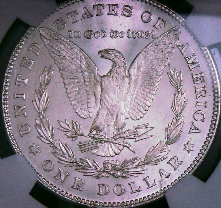 1878-P-VAM-31-Double-Set-Of-Legs-And-Talons,-Etc.