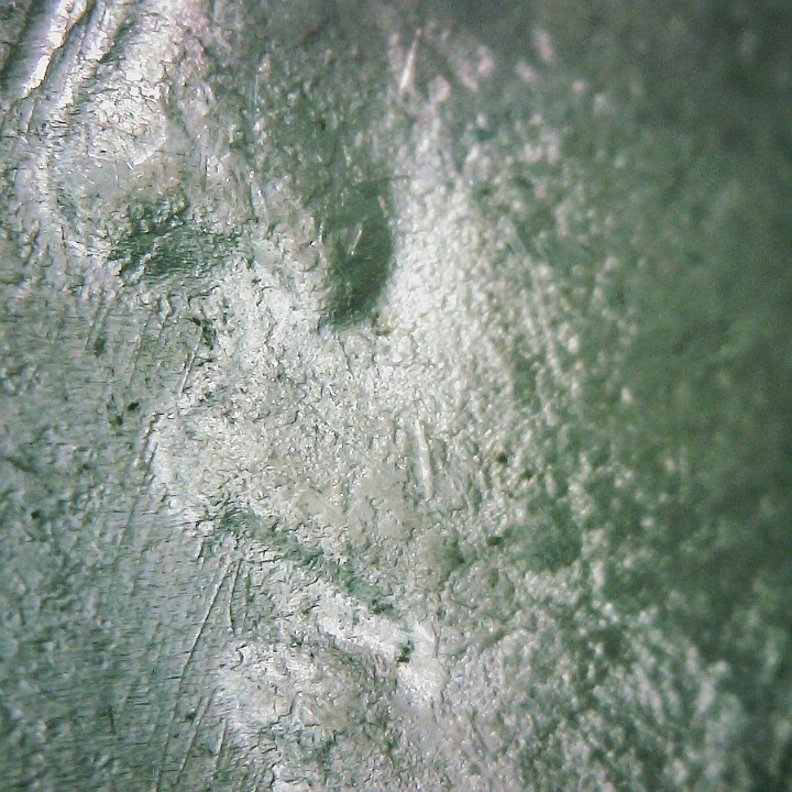 1924-P-Peace-Dollar-VAM-1Ah1-Deteriorated-Die-Example.