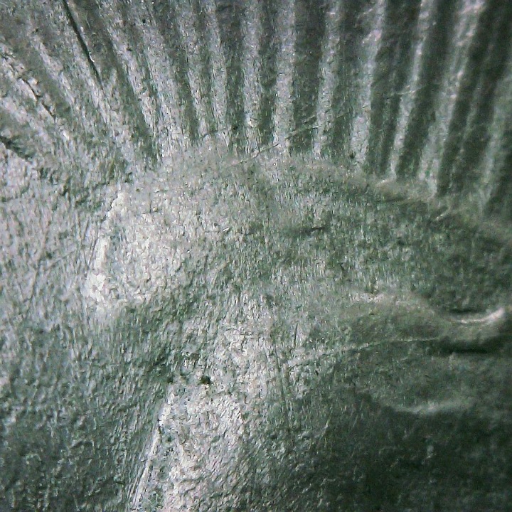 1924-P-Peace-Dollar-VAM-1Ah1-Deteriorated-Die-Example.