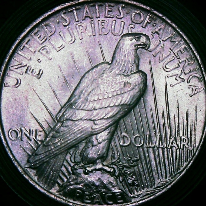 1924-P-Peace-Dollar-VAM-1Ah1-Deteriorated-Die-Example.