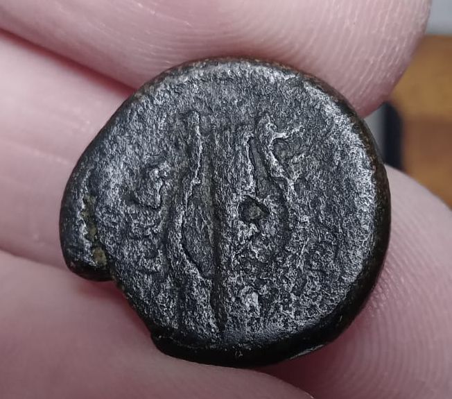 Greek-Coins-To-Identify