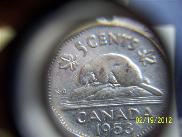 1953-Nickel-SF-Far-Leaves-Mule