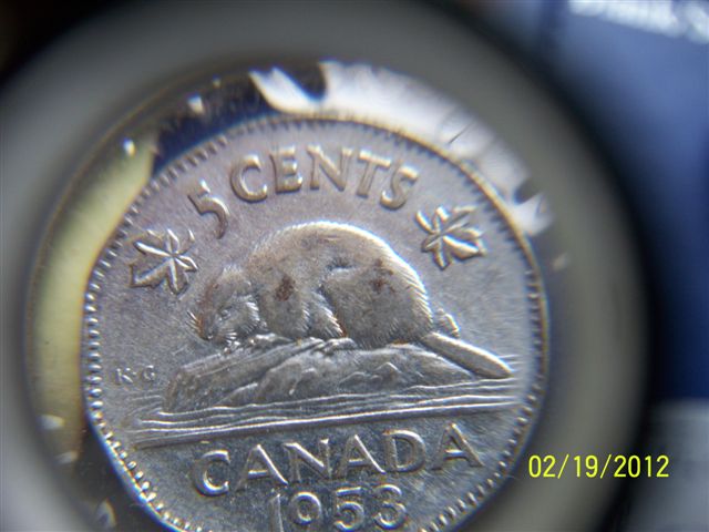 1953-Nickel-SF-Far-Leaves-Mule