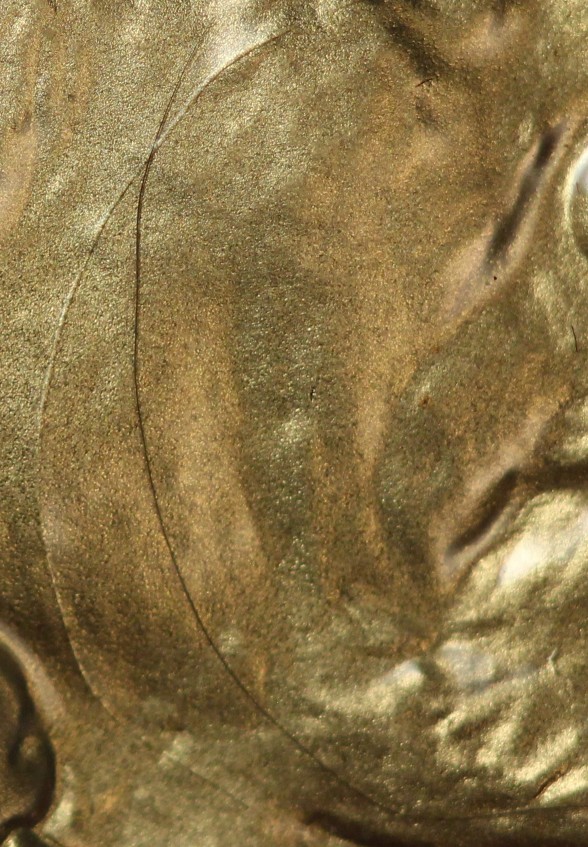 2008-$50-Gold-Buffalo-Struck-Through-A-Hair