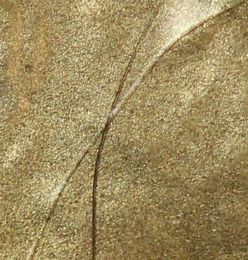 2008-$50-Gold-Buffalo-Struck-Through-A-Hair