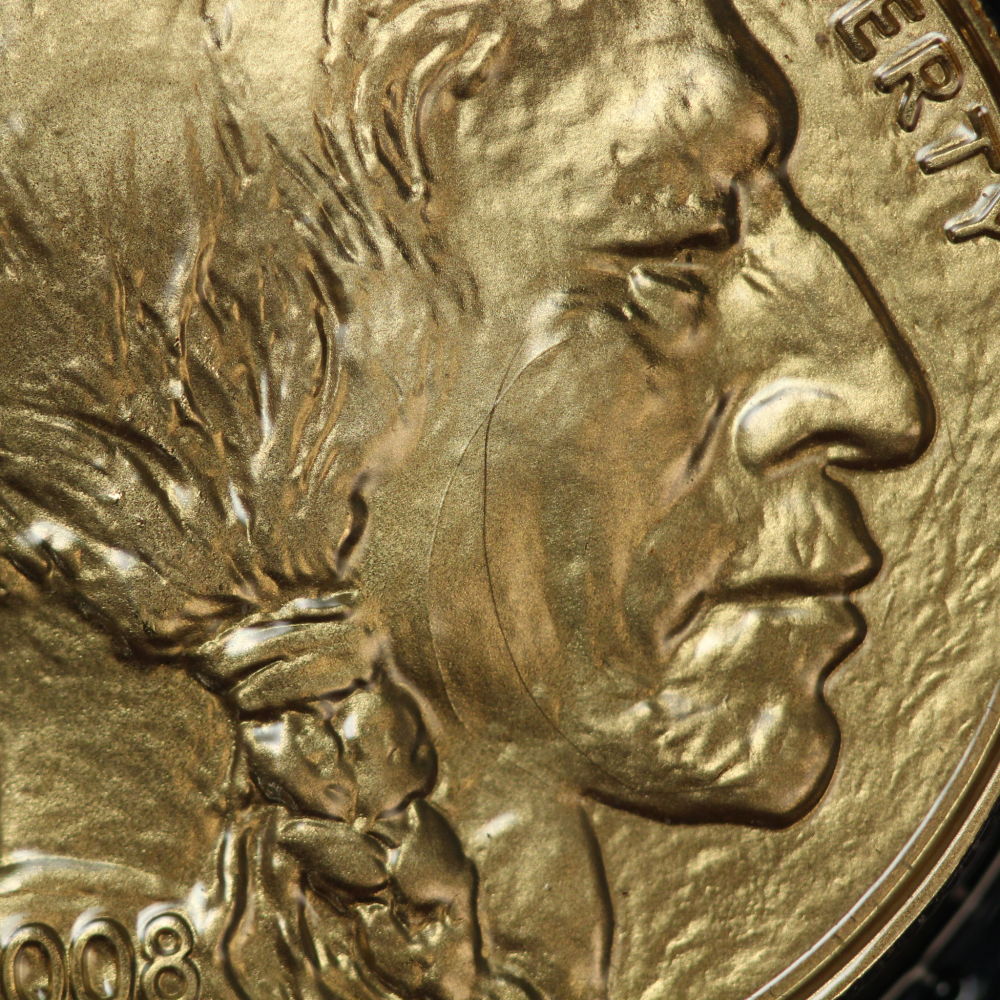 2008-$50-Gold-Buffalo-Struck-Through-A-Hair