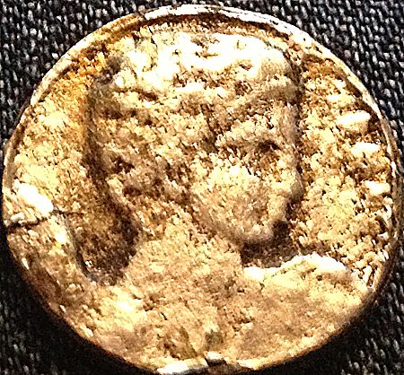 Please-Help-Identify