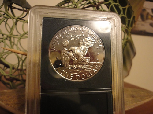 My-Eisenhower-Coin