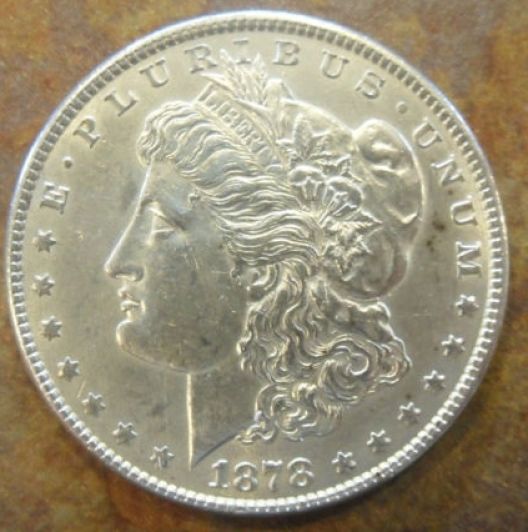 You-Vs-ANACS-1878-Morgan-Reverse-Of-79-VAM210A