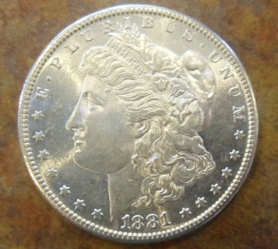 You-Vs-ANACS-1881-S-Morgan