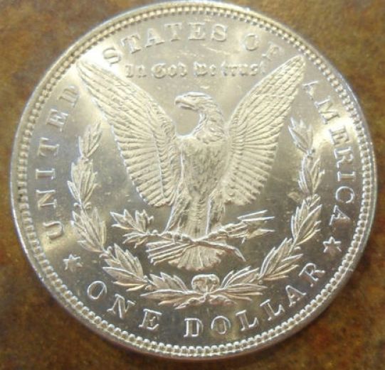 You-Vs-ANACS-1884-P-Morgan