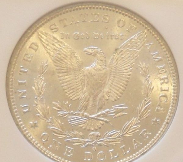 You-Vs-NGC-Morgan-1881-O