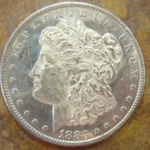 You-Vs-ANACS-Morgan-1883-O
