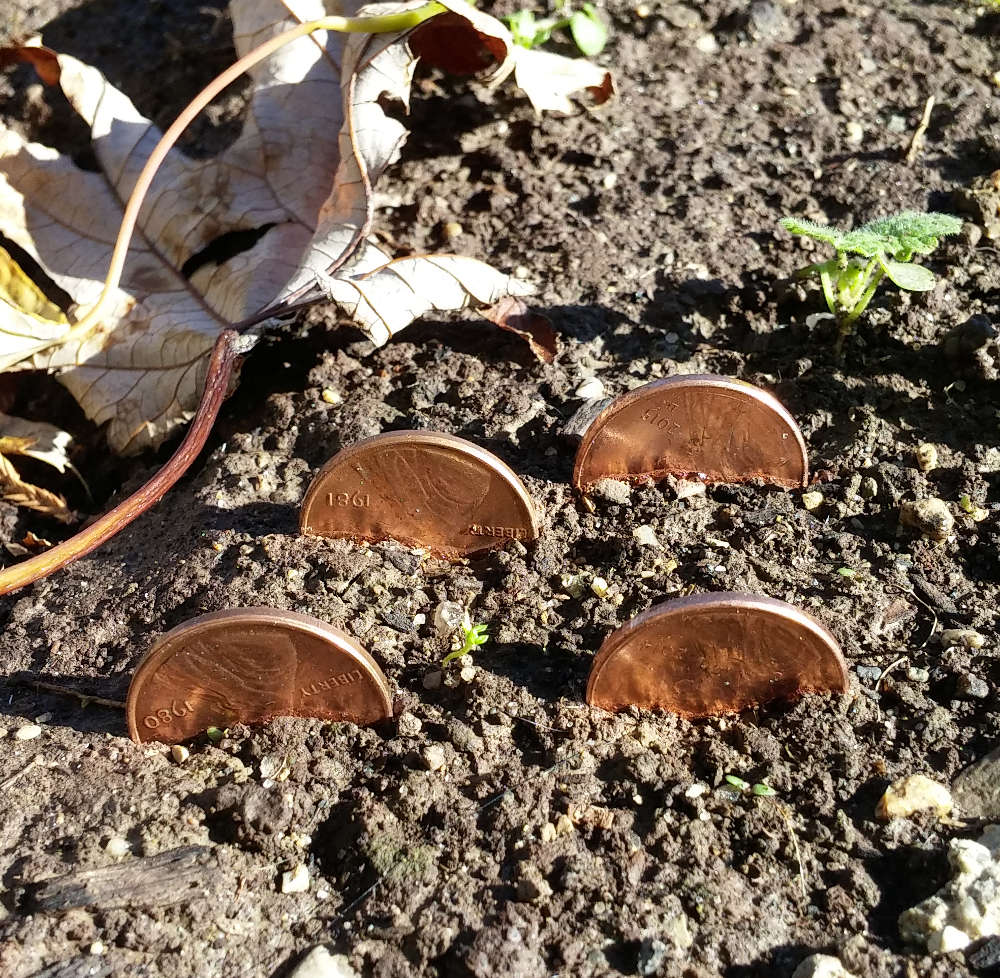 Copper-Lincolns-Vs-Zincolns:-Durability-Testing!