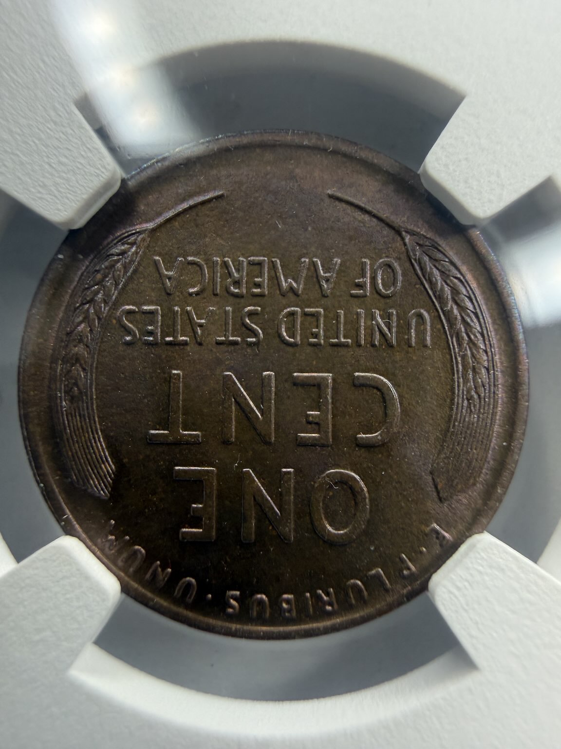 1916-Lincoln-Wheat,-NGC-Straight-Grade-MS-64-BN,-Damaged?